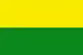 Flag of San Borja