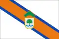 Flag of San Martín del Tesorillo