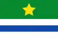 Flag of Vega de Santa María
