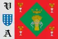 Flag of Velascálvaro, Spain