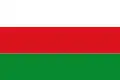 Flag of Vilaplana