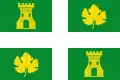 Flag of Villaverde de Medina, Spain