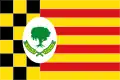 Flag of Alcampell/El Campell