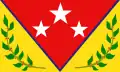 Flag of Antonio Pinto Salinas Municipality