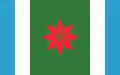 Flag of Navarro