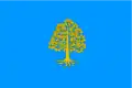 Flag of El Rourell