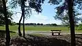 A bench called Linda