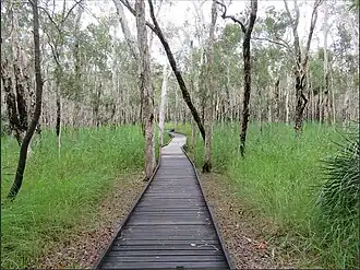 Banksia wetlands walking track, 2022