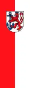 Flag of Düsseldorf (variant)