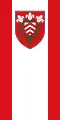 Halle (variant)