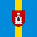 Flag of Volodymyr