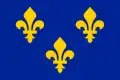 Royal banner with the arms of France under Louis XIII (r. 1610–1643).