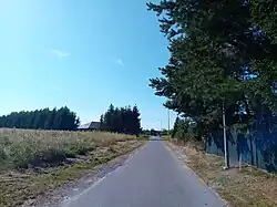 Road to Trzciniec