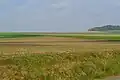 Barenton-Cel Landscape
