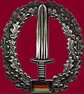 Badge worn on beret