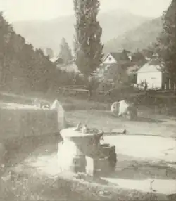 The Bartlett Spring, hotel in background