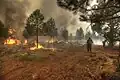 *Fire line patrol