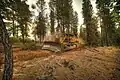 *Bulldozer building line