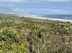 View of Barrytown Flats from Razorback Point