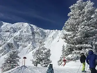 Sunny day at Snowbasin in February 2019