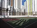 Basketball court