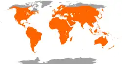Map of the world, with most of the world outside of the arctic and antarctic regions shaded red
