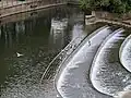 Weir near Pulteney Bridge in 2025