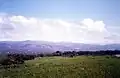 Batroumine green fields