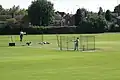 Cricket Pitch