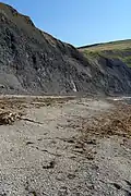 Stony beach, Egmont Bight