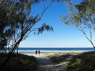 Kingscliff Beach