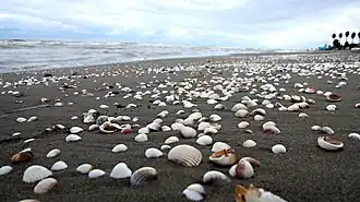 Salman Shahr beach in August 2011