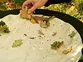 Entomologists examining their catch