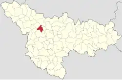 Location in Timiș County