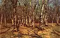 Beech Forest