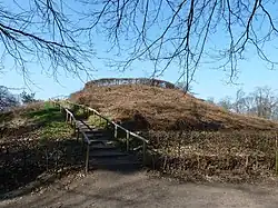 Castle Hill