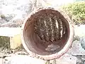 Bees in a baked clay jar in Malta
