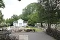 Exeter elm (background), De Iepenhof cemetery, Hoofddorp (2016)