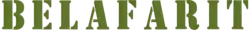 Computer Simulation of Battle Honour
