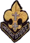 Old Belarusian Scout badge, which existed from 1945 to 1951 in Germany