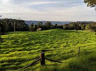 Bellawongarah with Illawarra escarpment in the background