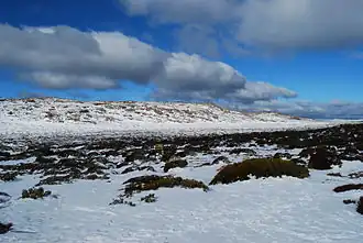 Part of the Ben Lomond snowfields