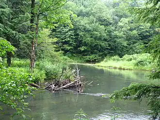 River