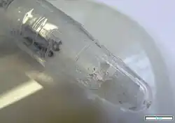 Clear substance in the tip of a vessel