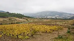 Panoramic view