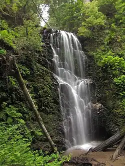 Berry Creek Falls in 2011