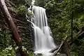 Berry Creek Falls in 2016