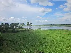 Landscape of Rajbari District