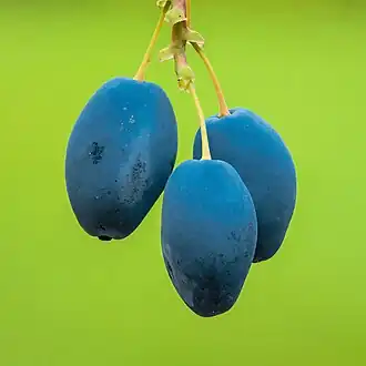 Close-up of fruits