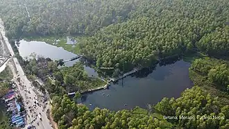 Aerial View Of Betana Wetland, Belbari, Eastern Nepal